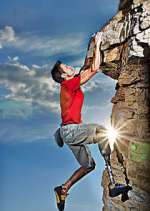 Watch Fight to Survive 123movies