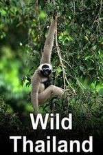 Watch Wild Thailand 123movies