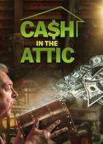 Watch Cash in the Attic 123movies