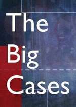 Watch The Big Cases 123movies