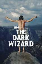 the dark wizard tv poster