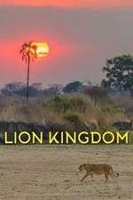 Watch Lion Kingdom 123movies