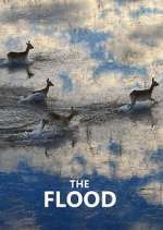 Watch The Flood 123movies