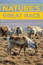 Watch Nature's Great Race 123movies