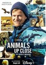 Watch Animals Up Close with Bertie Gregory 123movies
