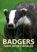Watch Badgers: Their Secret Worlds 123movies