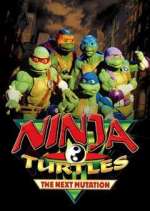Watch Ninja Turtles: The Next Mutation 123movies