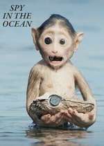 Watch Spy in the Ocean 123movies