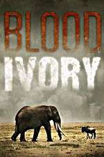 Watch Blood Ivory 123movies