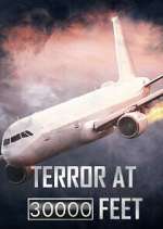 Watch Terror at 30,000 Feet 123movies