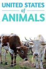 Watch United States of Animals 123movies