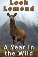 Watch Loch Lomond: A Year in the Wild 123movies