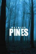 Watch Wayward Pines 123movies