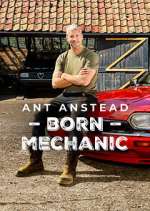 Watch Ant Anstead: Born Mechanic 123movies