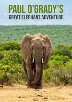 Watch Paul O'Grady's Great Elephant Adventure 123movies