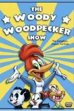 Watch The Woody Woodpecker Show 123movies