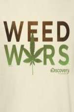 Watch Weed Wars 123movies