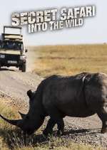 Watch Secret Safari: Into the Wild 123movies