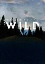 Watch Called to the Wild 123movies