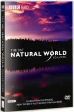 Watch The Natural World 123movies