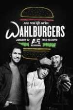 Watch Wahlburgers 123movies