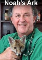 Watch Noah's Ark 123movies