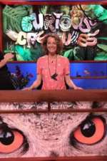 Watch Curious Creatures 123movies