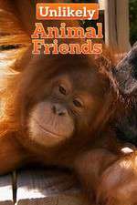 Watch Unlikely Animal Friends 123movies