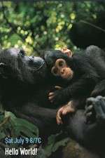 Watch Hello World! 123movies