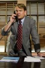 Watch Andy Barker, P.I. 123movies