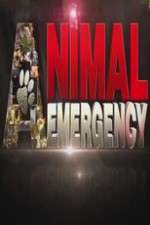 Watch Animal Emergency 123movies