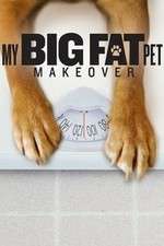 Watch My Big Fat Pet Makeover 123movies