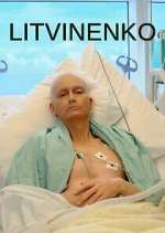 Watch Litvinenko 123movies