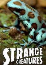 Watch Strange Creatures 123movies