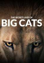Watch The Secret Lives of Big Cats 123movies