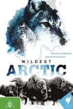 Watch Wildest Arctic 123movies