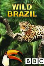Watch Wild Brazil 123movies