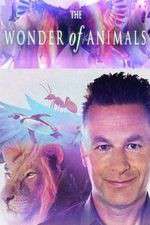 Watch The Wonder of Animals 123movies