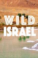 Watch Wild Israel 123movies