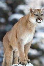 Watch Race of Life 123movies