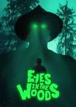 eyes in the woods tv poster