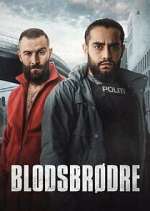 Watch BlodsbrÃ¸dre 123movies