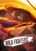 Watch Wild Fighters 123movies
