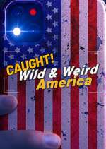 Watch Wild & Weird America 123movies