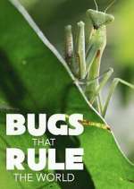 Watch Bugs that Rule the World 123movies