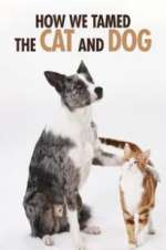 Watch How We Tamed the Cat and Dog 123movies