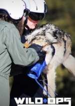 Watch Wild Ops 123movies