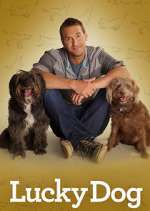 Watch Lucky Dog 123movies