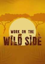 Watch Work on the Wild Side 123movies