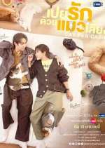 Watch Cat for Cash 123movies